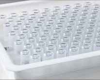 PLLA microsphere filling PLLA microsphere filling